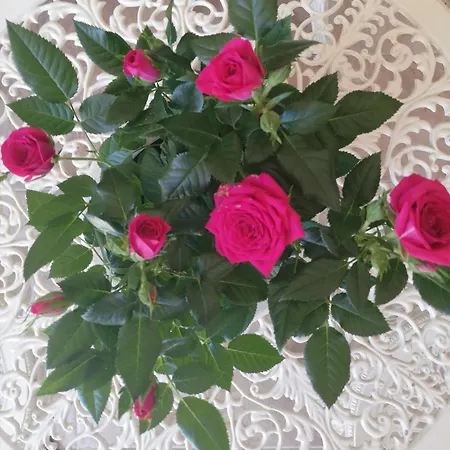 Un Passo Dai Trabocchi Accommodatie bij particulieren *