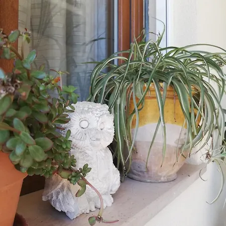 Un Passo Dai Trabocchi Habitación en casa particular *