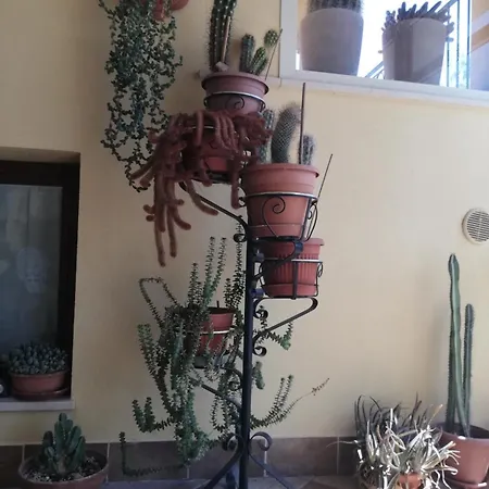 Un Passo Dai Trabocchi Homestay Villalfonsina