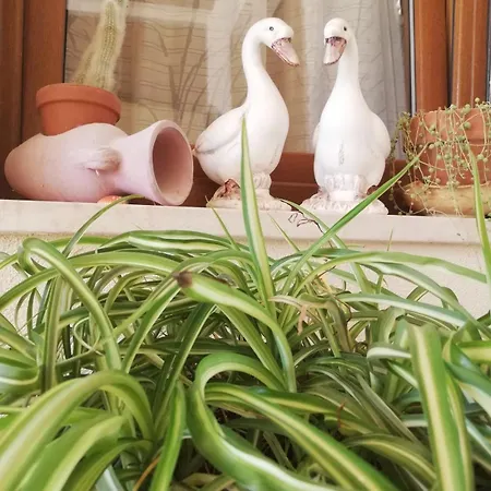 Un Passo Dai Trabocchi Accommodatie bij particulieren