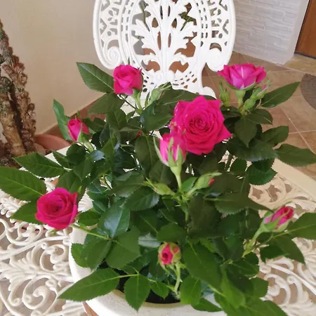 Un Passo Dai Trabocchi Privat bolig *