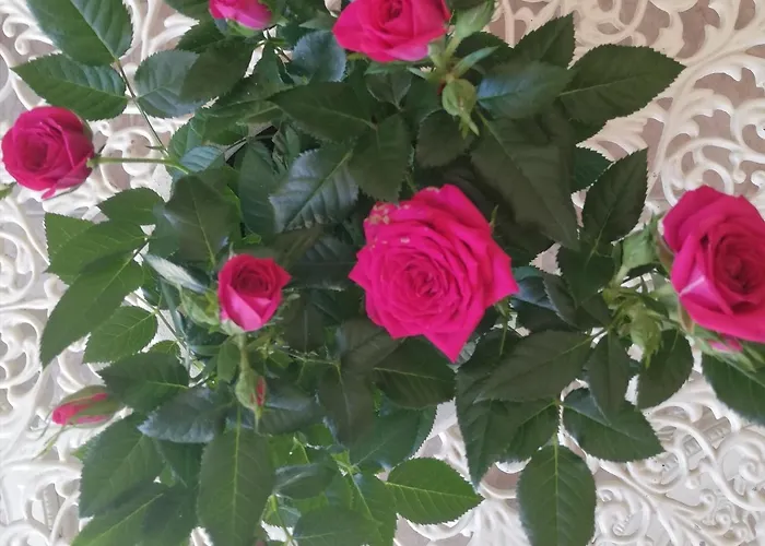 Un Passo Dai Trabocchi Alloggio in famiglia *