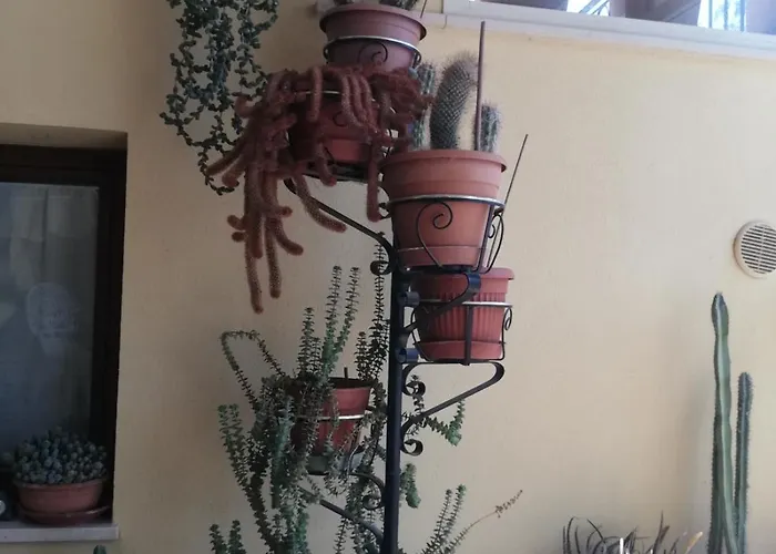 Un Passo Dai Trabocchi Alloggio in famiglia Villalfonsina