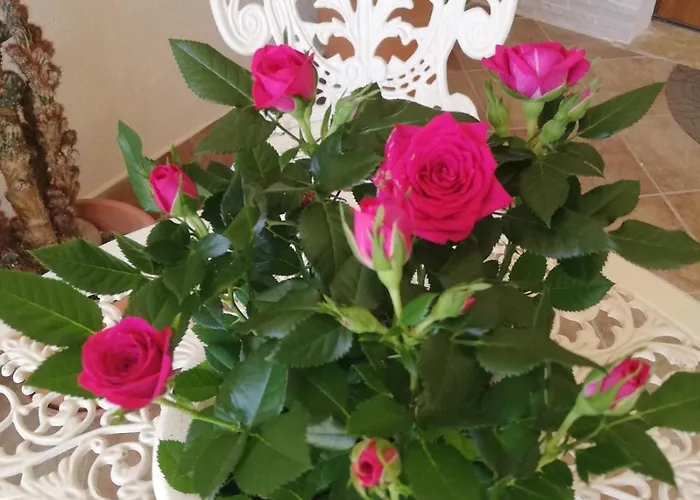 Un Passo Dai Trabocchi Alloggio in famiglia *